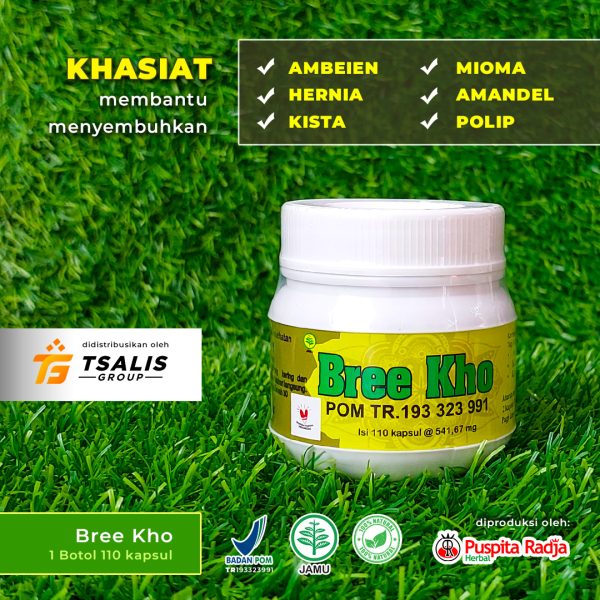 BREE KHO (Specialis Kista) - Gambar 2