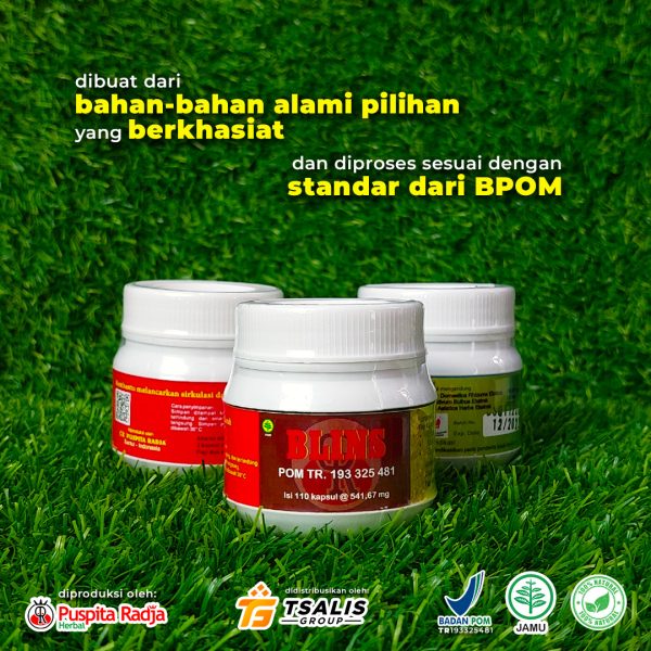 BLINS (Specialis Stroke) - Gambar 3
