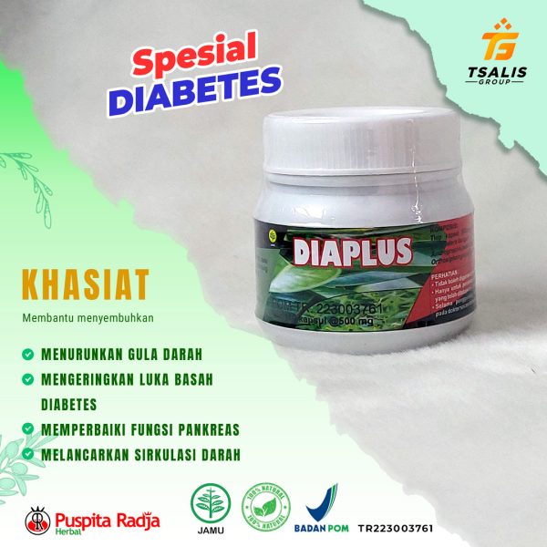 Diaplus (Spesial Diabetes)