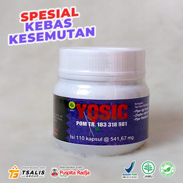 YOSIC - Gambar 2