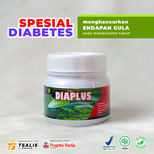 Diaplus (Spesial Diabetes) - Gambar 2