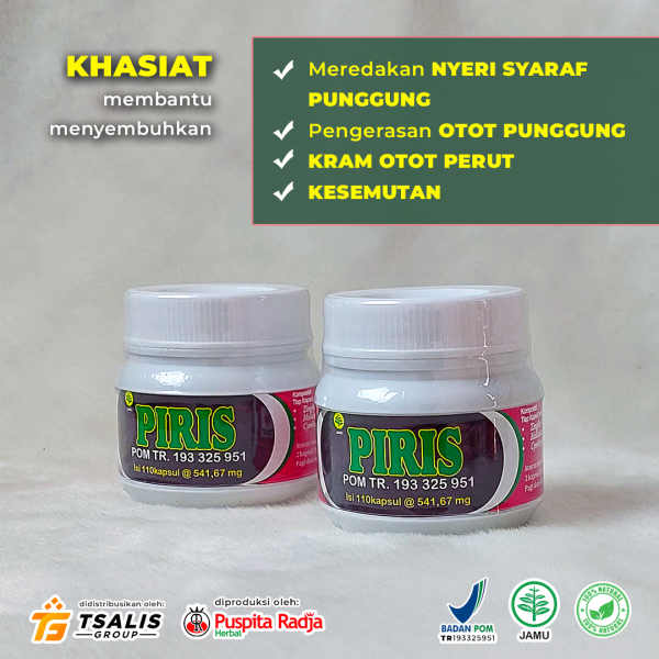 PIRIS - Gambar 2
