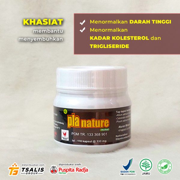 PLA NATURE - Gambar 2