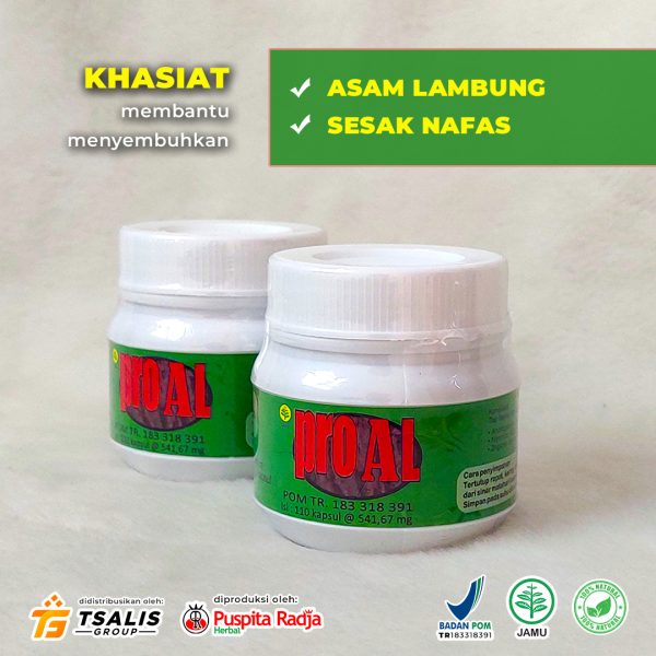 PRO AL (Spesial Lambung) - Gambar 3