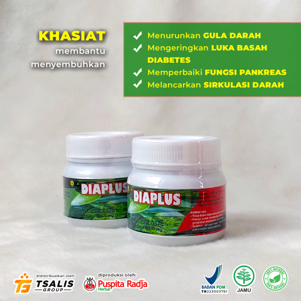 Diaplus (Spesial Diabetes) - Gambar 3