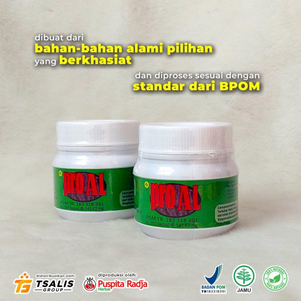 PRO AL (Spesial Lambung) - Gambar 4